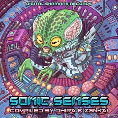 Vibrant & Junky Monkey - Console Police | [VA Sonic Senses] @ Digital Shamans Records