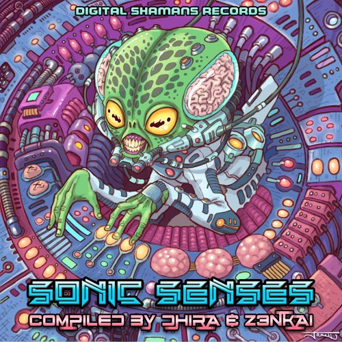 Vibrant & Junky Monkey - Console Police | [VA Sonic Senses] @ Digital Shamans Records