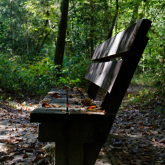 "God wants to hear from you," by Zac White