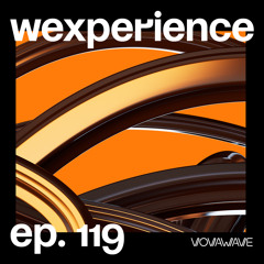 WExperience #119