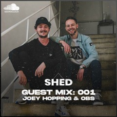 SHED - JOEY HOPPING AND OBS 001