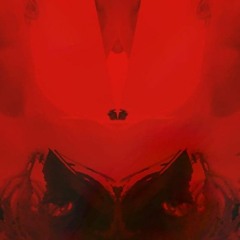 SINTHER @REDSERIES X01