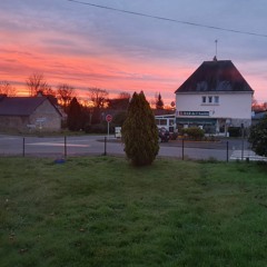 silent night cover...