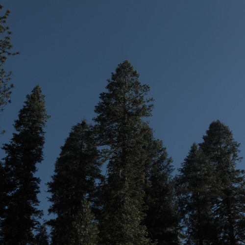 sleepwater - tomorrow (cover)