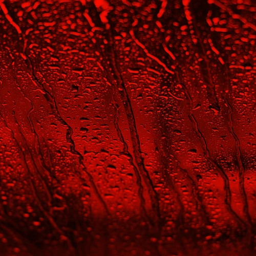 Red Rain ft Lxst Nova