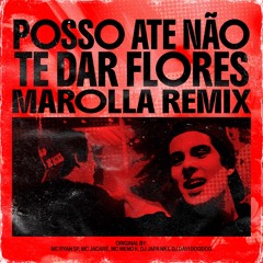 Posso Até Não Te Dar Flores - (Marolla Remix)