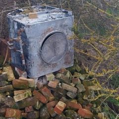 //EP3///Ai/PlzSaveUs_Early Blackberries