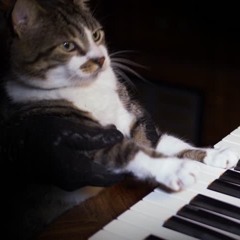 Prepared Piano