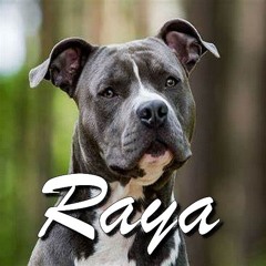 Raya