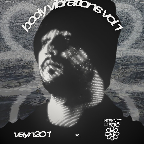 Vayn201 - body vibrations vol. 1