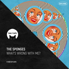 The Sponges - What's Wrong With Me?