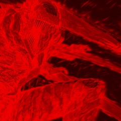 DEVIL!  (prod. unrem)