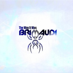 Brimaudi - The Way It Was ( Original Mix )