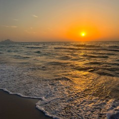 Desert Beats #2