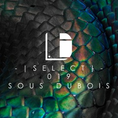 Drone Select 019 /// Sous Dubois