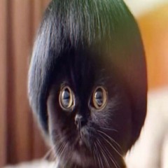 i waNt da pu$$ prod. hyssteria