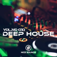 Deep House Mix | Vol.NS.010 | Vocal House