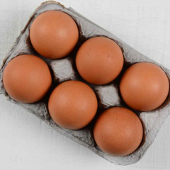 6 little eggs (uptempo)