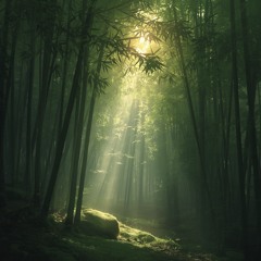 Komorebi (Weeping Willow)