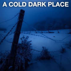 A Cold Dark Place (Adroc Anu)