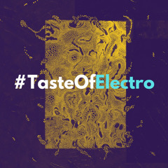 #TasteOfElectro | Secrets of Melodic House & Techno
