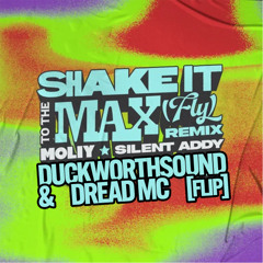 Moliy, Silent Addy - Shake It To The Max (Duckworthsound & Dread MC Flip)
