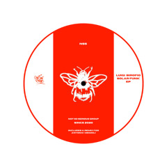 Luigi Birofio - Rave Generation (Original Mix)