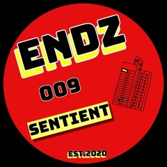 ENDZ009 - Linear / Formless One (SOLD OUT)