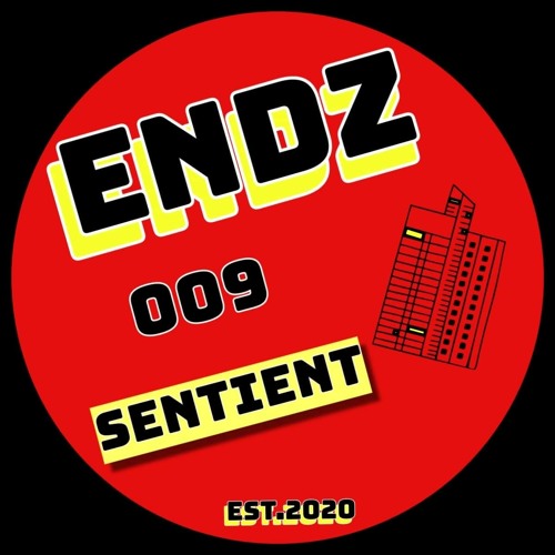 ENDZ009 - Linear / Formless One (SOLD OUT)