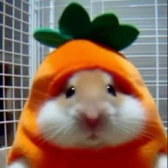 ion like u @Jerrytheproducer #Jerseyclub