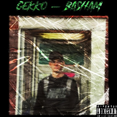 Gekko - BASHAM