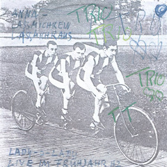 Anna - Lassmichreinlassmichraus (Single Version)