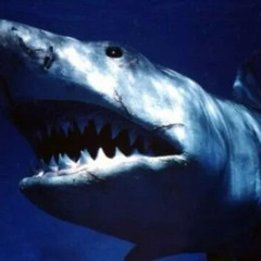 sgpwes - soul hurt flip(by zlucho + heavengrace)