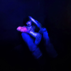 RAVE.