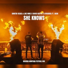 DV&LM X David Guetta X Afro Bros Ft. Akon - She Knows (Ricardo Montana Festival Mix)