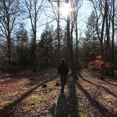 Richard Farrell- Little Finger