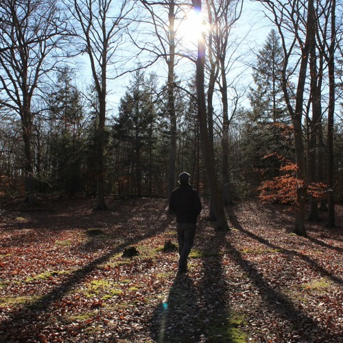 Richard Farrell- Little Finger