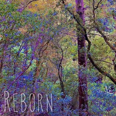 REBORN( Unmastered)