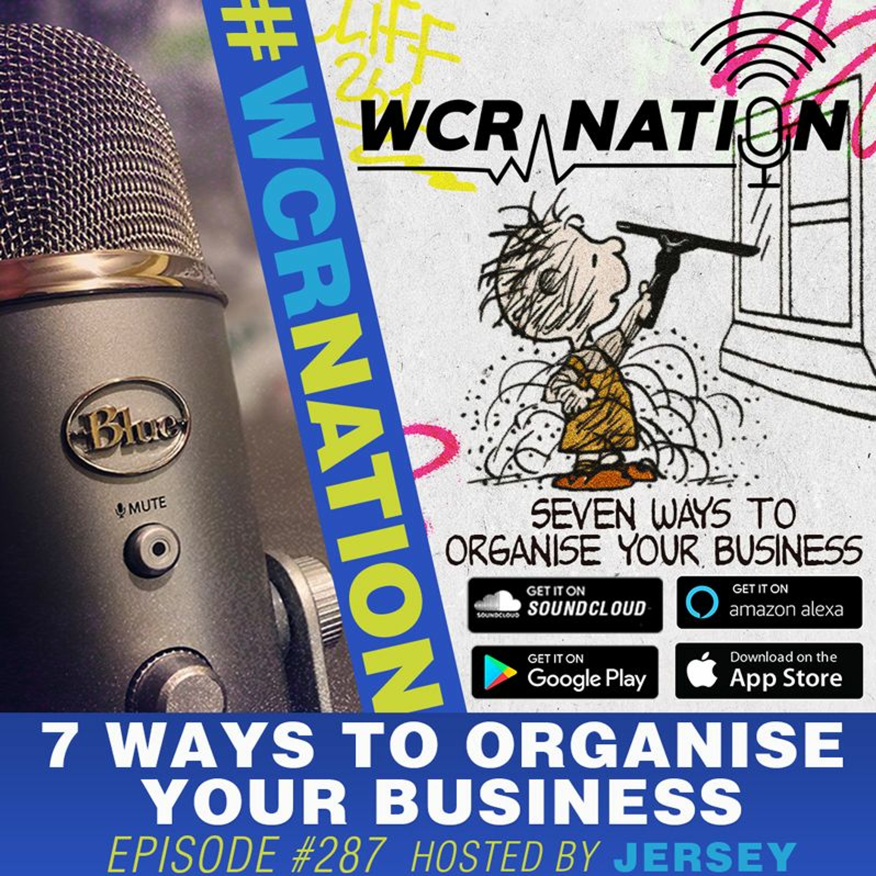 7 Ways to Organize Your Business | WCR NATION Ep. 287 | A Window Cleaning Podcast