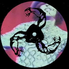 We're Going Hard All Night (full version)