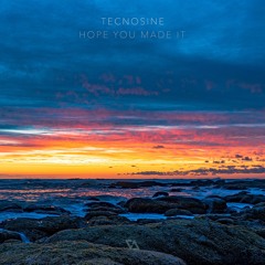 Tecnosine - Hope You Made It