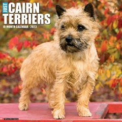VIEW EBOOK 📭 Just Cairn Terriers 2023 Wall Calendar by  Willow Creek Press [EBOOK EP