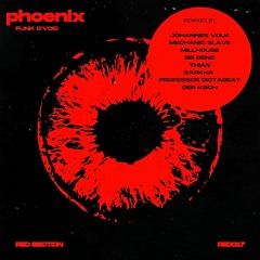 Funk D' Void - Phoenix (BB Deng Eastern touch Remix) full track