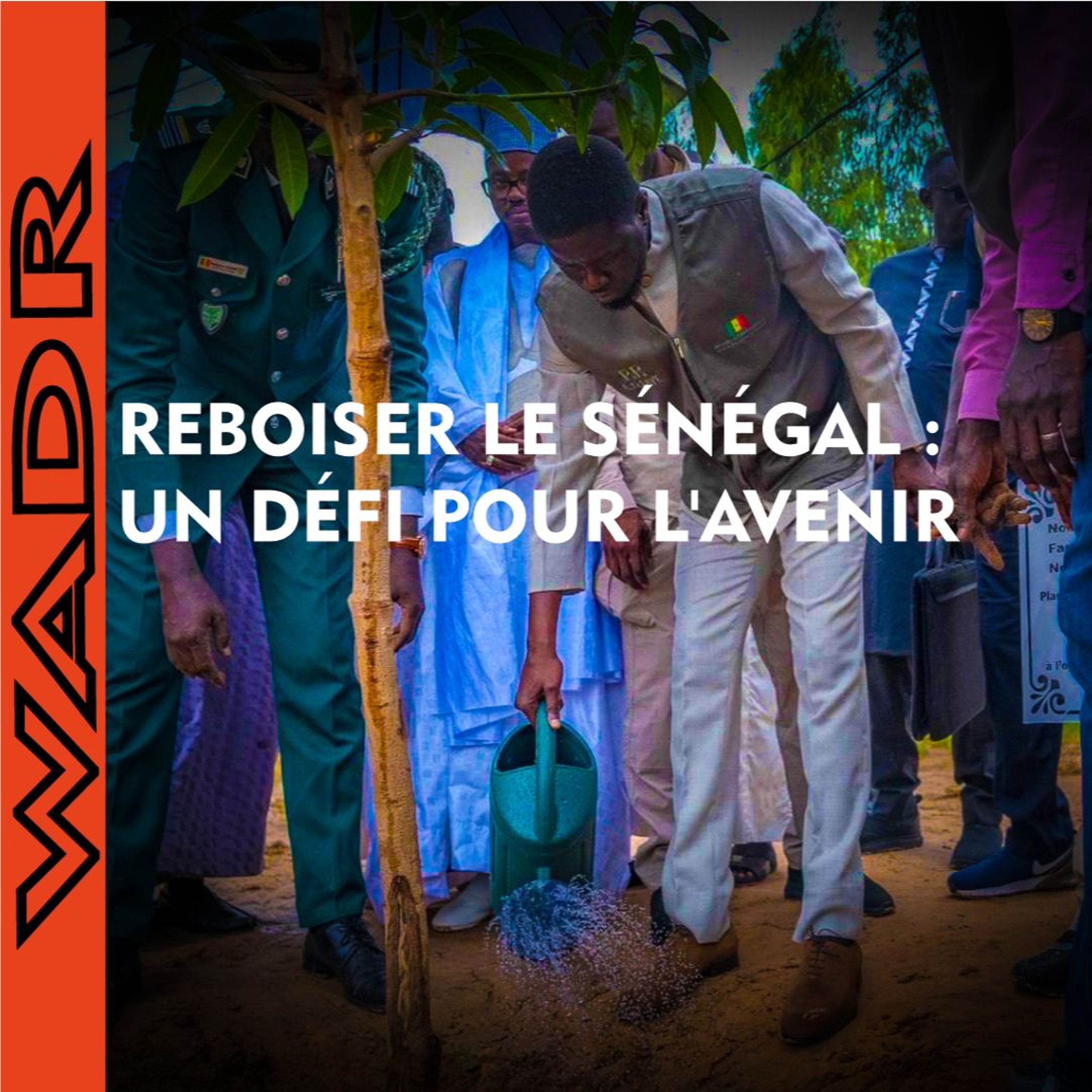 Campagne de Reboisement : Le Président du Sénégal Lance l'Initiative episode artwork