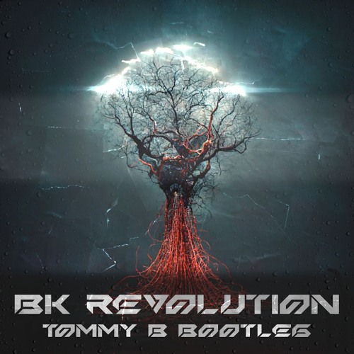 BK - Revolution (Tommy B Bootleg) **100 free downloads**