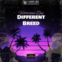 Different Breed