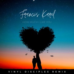 Francis Karel I Dont Like How Much (Vinyl Disciples Remix)