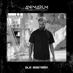 Animarum Radio Show No. 35 mixed by Ola Roström