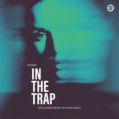 In The Trap (Dan Sushi Remix)