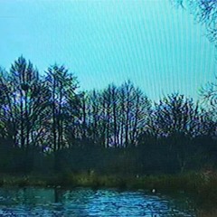 rustling w/ marlee [video in description!]